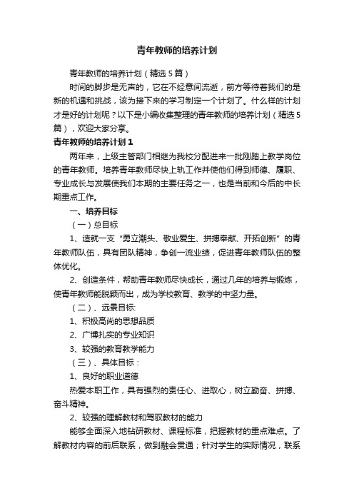 青年教师的培养计划