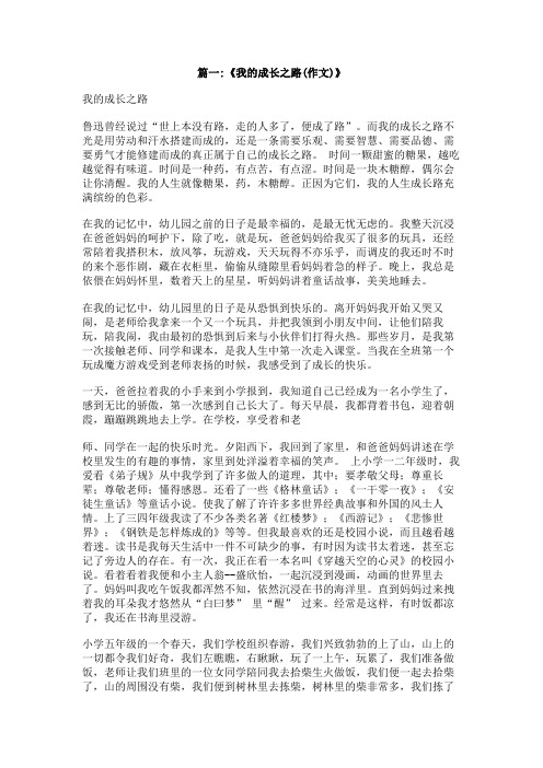 我的成长之路(作文500字)