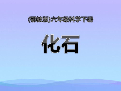 鄂教版科学六下第1课《化石》ppt课件2课件PPT