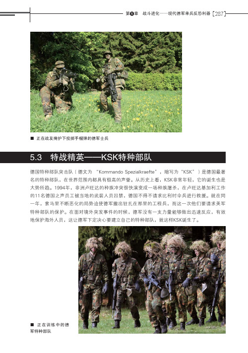 特战精英——KSK特种部队_德军制式单兵武器大全_[共8页]