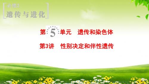 2019高考苏教版生物一轮复习课件: 必修2 第5单元 第3讲 第3讲 性别决定和伴性遗传