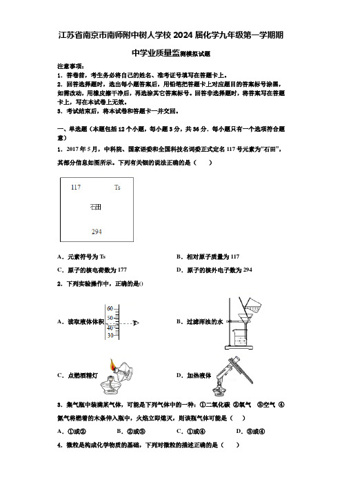 江苏省南京市南师附中树人学校2024届化学九年级第一学期期中学业质量监测模拟试题含答案解析