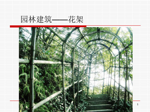 花架 园林建筑——花架(专业教育)