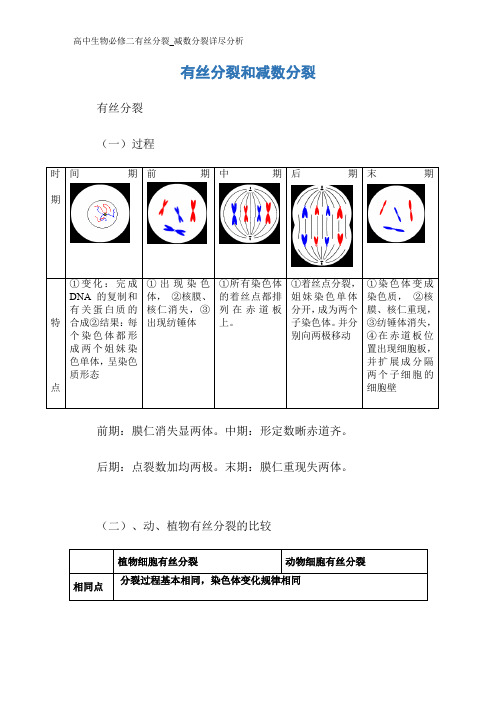 高中生物必修二有丝分裂_减数分裂详尽分析