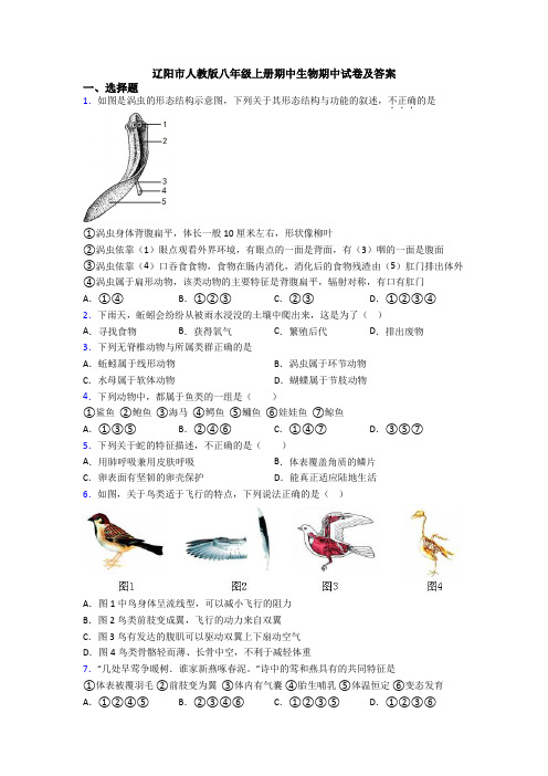 辽阳市人教版八年级上册期中生物期中试卷及答案