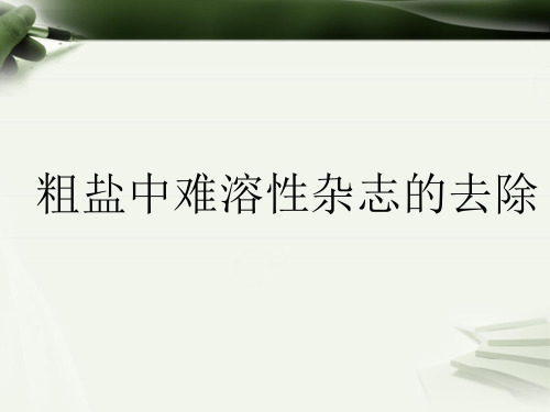 人教版九年级化学下册《粗盐中难溶性杂质的去除)》精品课件