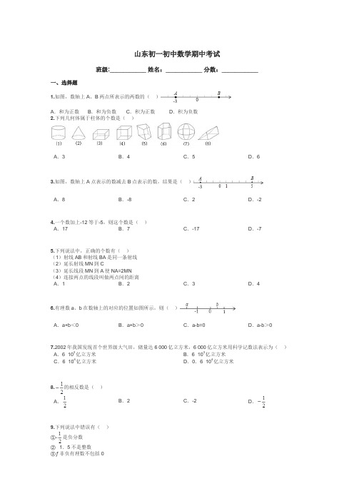 山东初一初中数学期中考试带答案解析
