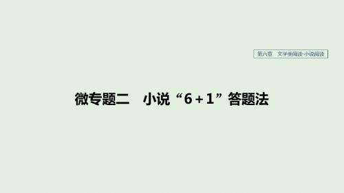 高考语文复习 第六章 文学类阅读小说阅读 微专题二 小