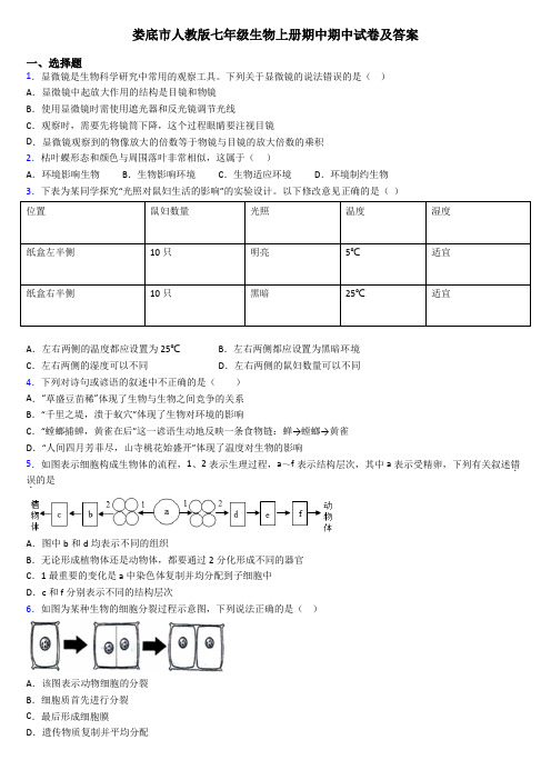 娄底市人教版七年级生物上册期中期中试卷及答案