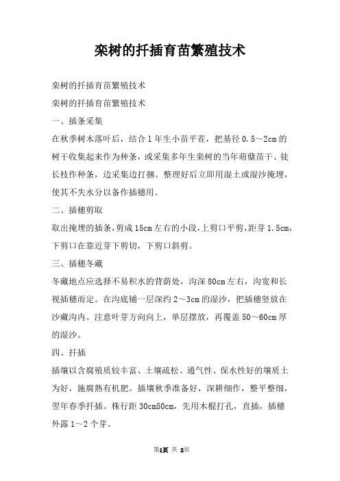 栾树的扦插育苗繁殖技术