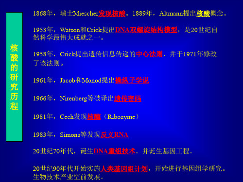 核酸的化学3学分幻灯片(1)