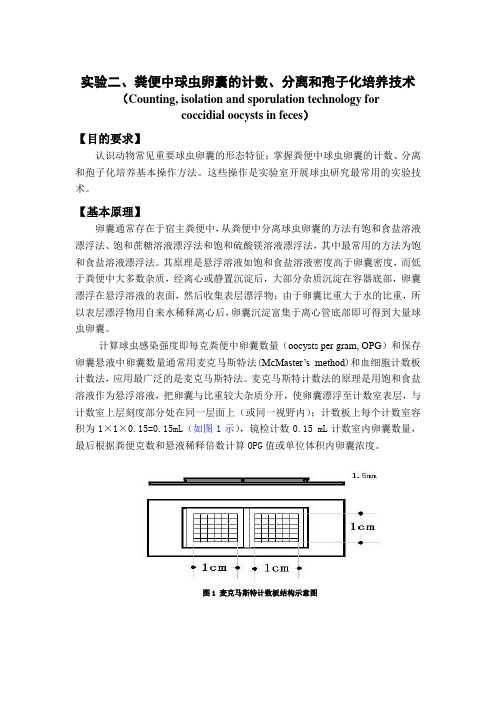 球虫实验-闫文朝