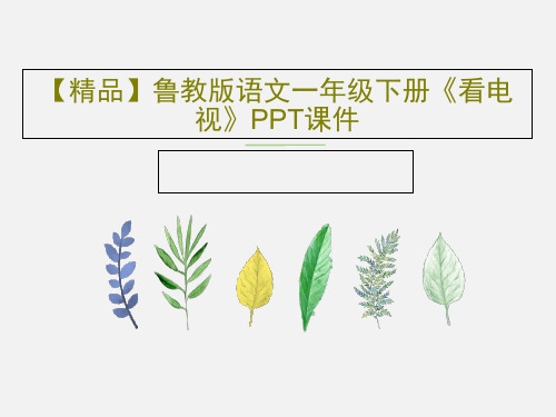 【精品】鲁教版语文一年级下册《看电视》PPT课件共17页