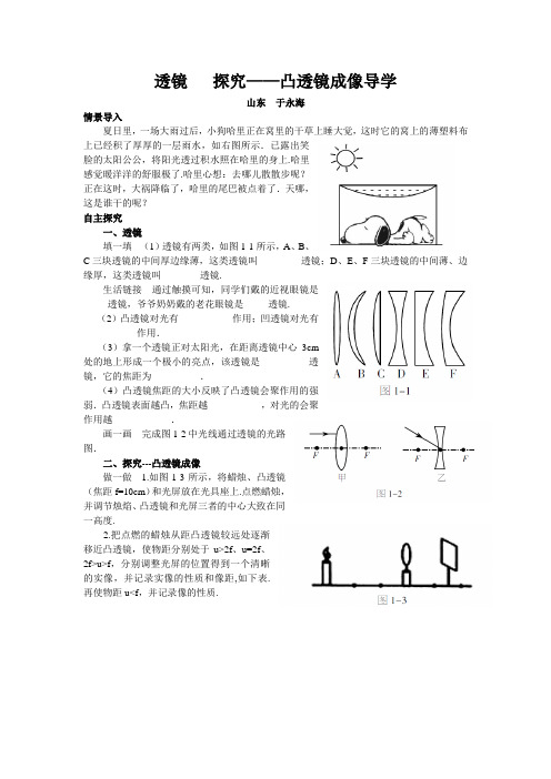 北师大版-物理-八年级下册-导学案透镜 探究-凸透镜成像