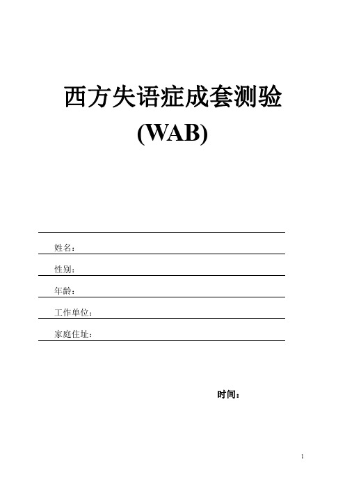 WAB测试及报告 -修改版  - 精简版