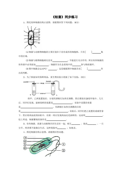 冀教版生物八年级上册 第五单元第一章《细菌》同步练习2