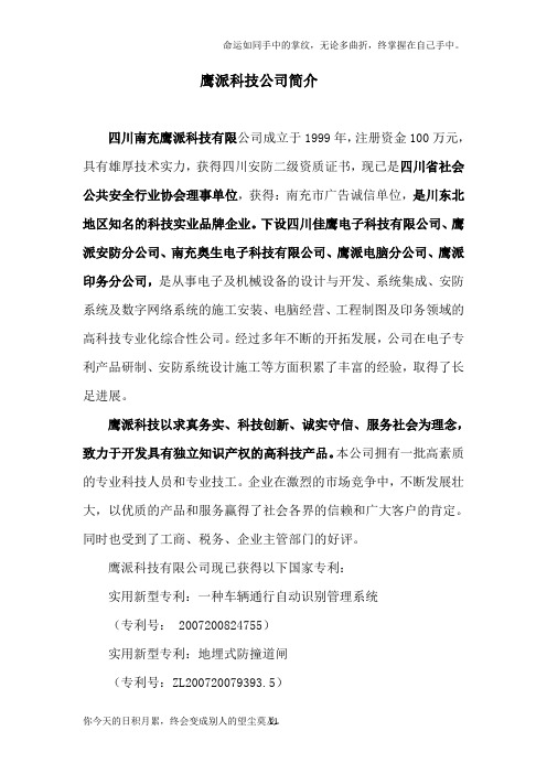 鹰派科技公司简介