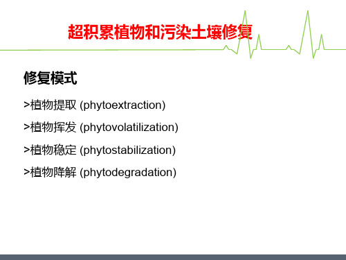 超积累植物和污染土壤修复