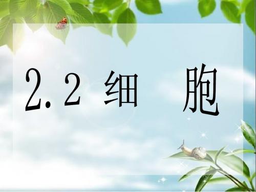 浙教版七年级科学上册第二章第2节—细胞