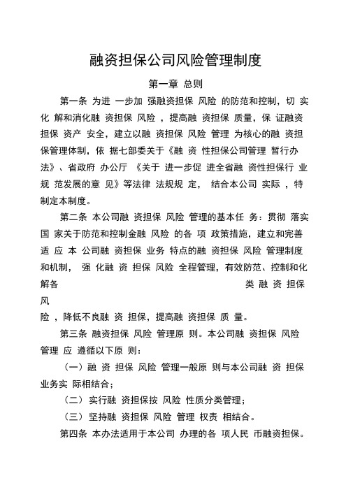 融资担保公司风险管理制度