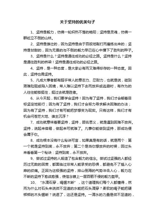 关于坚持的优美句子