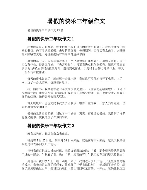 暑假的快乐三年级作文