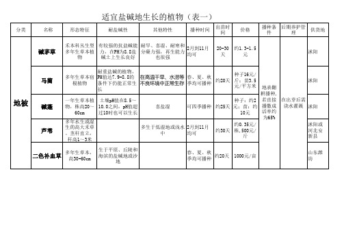 盐碱地地被植物