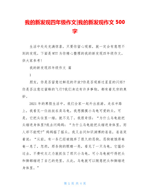 我的新发现四年级作文-我的新发现作文500字