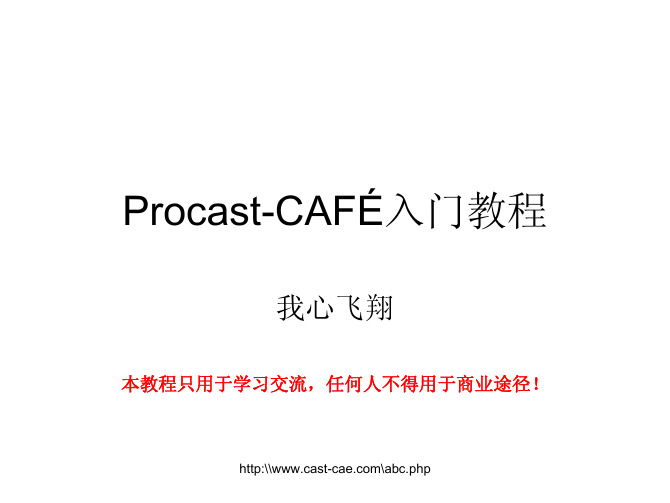 Procast-CAFEE入门教程