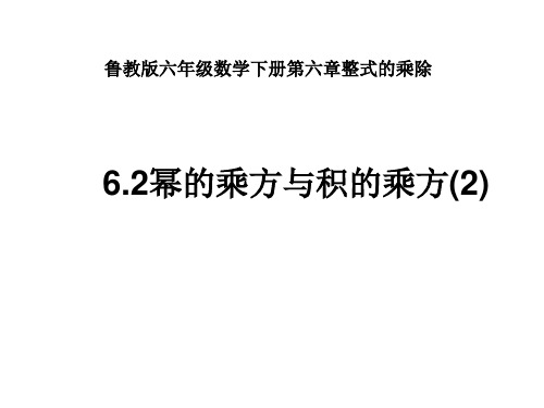 6-2幂的乘方与积的乘方(第二课时)课件  2022 2023学年鲁教版 五四制 六年级数学下册