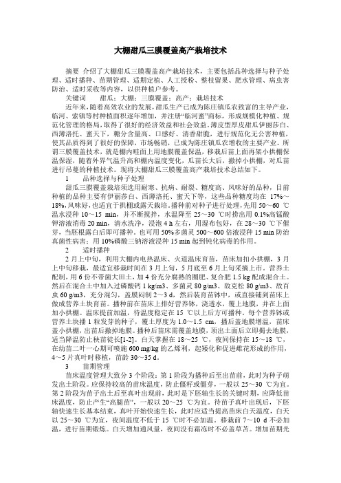 大棚甜瓜三膜覆盖高产栽培技术