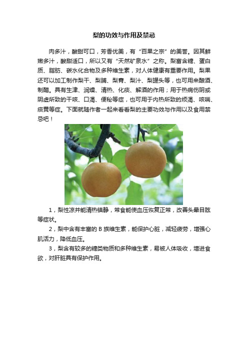 梨的功效与作用及禁忌