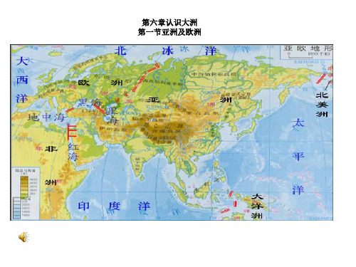 七年级下地理第六章认识大洲