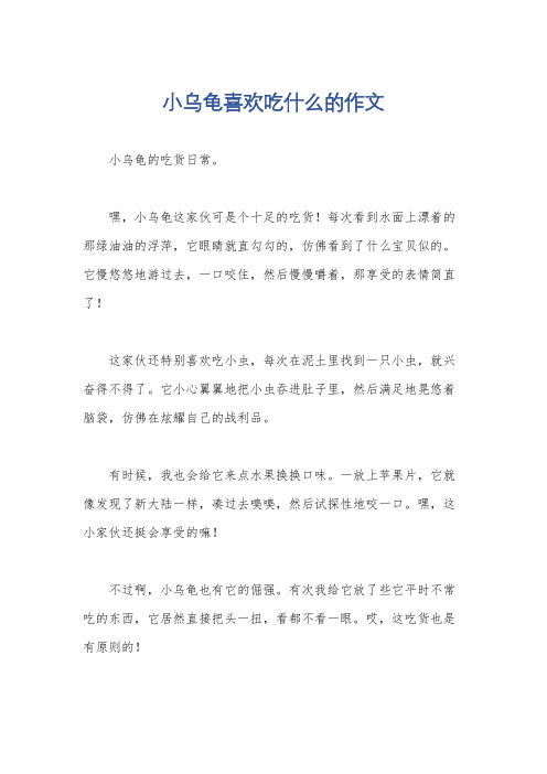 小乌龟喜欢吃什么的作文