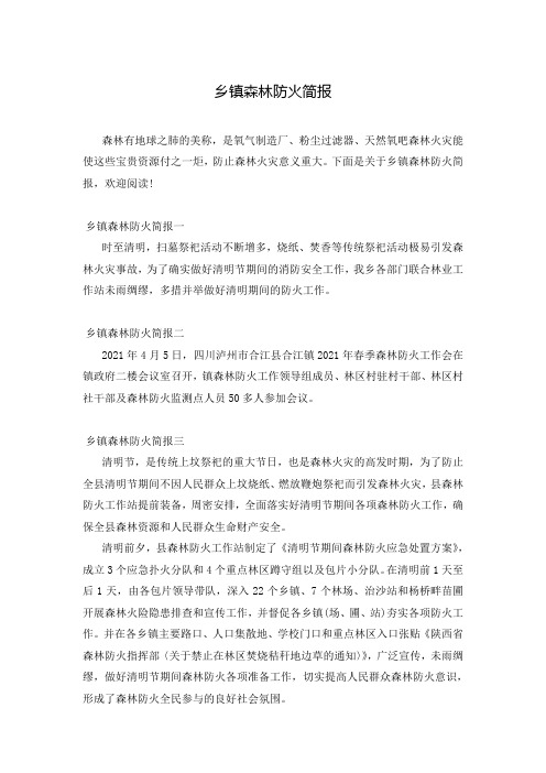 乡镇森林防火简报