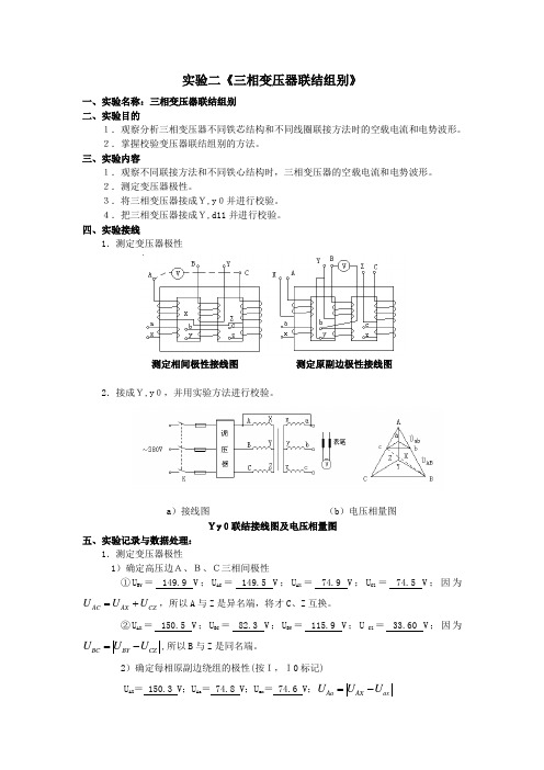 实验二-联结组