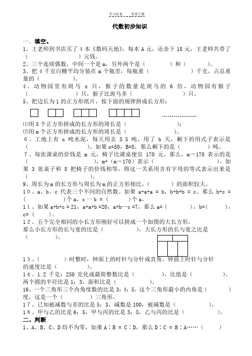 小学六年级数学总复习〖代数初步知识〗