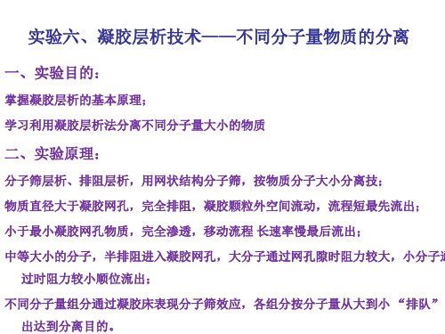 1_生物化学实验——实验7 凝胶层析技术-to同学们