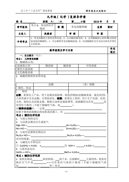 中考化学考点6常见的酸和碱