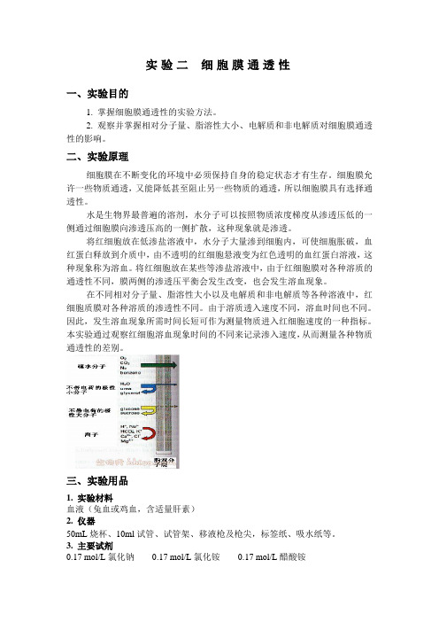 实验二 细胞膜的通透性