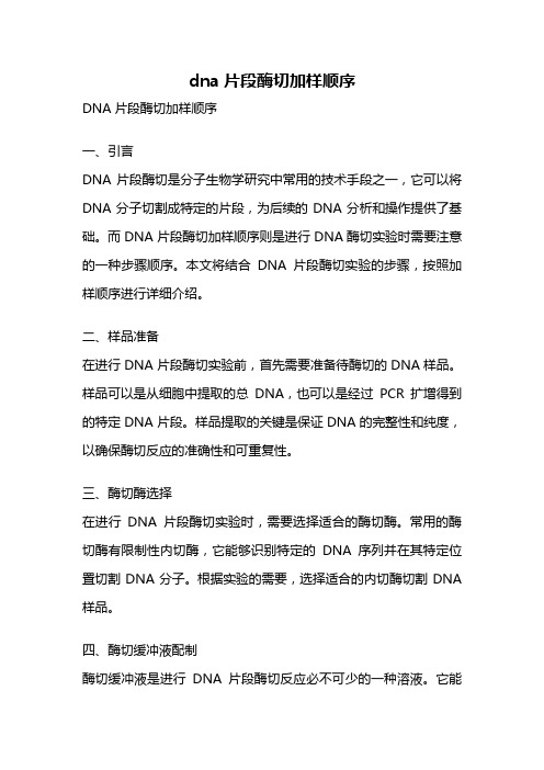 dna片段酶切加样顺序