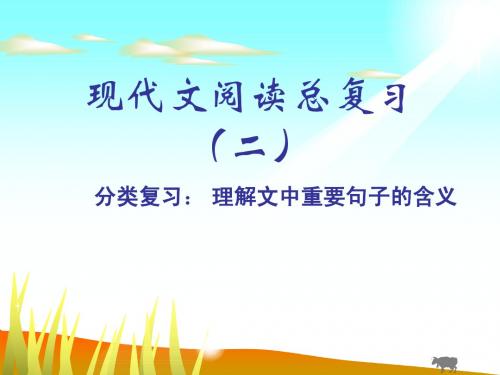 现代文阅读总复习(二)理解文中重要句子的含义