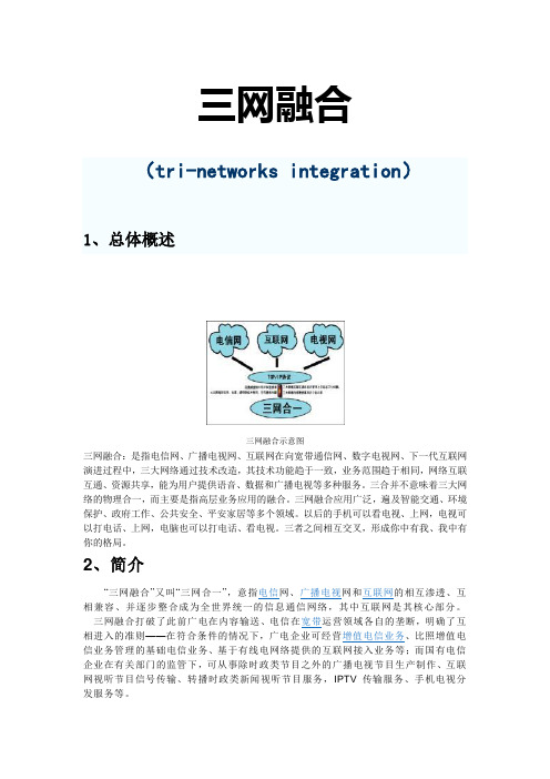 三网融合(全)