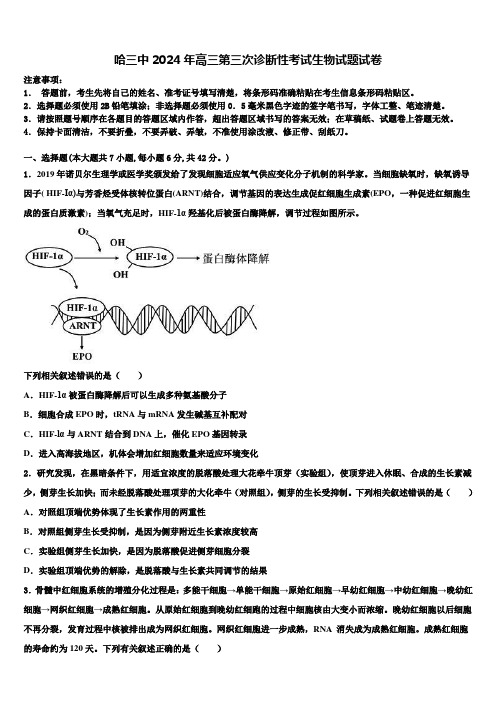 哈三中2024年高三第三次诊断性考试生物试题试卷含解析