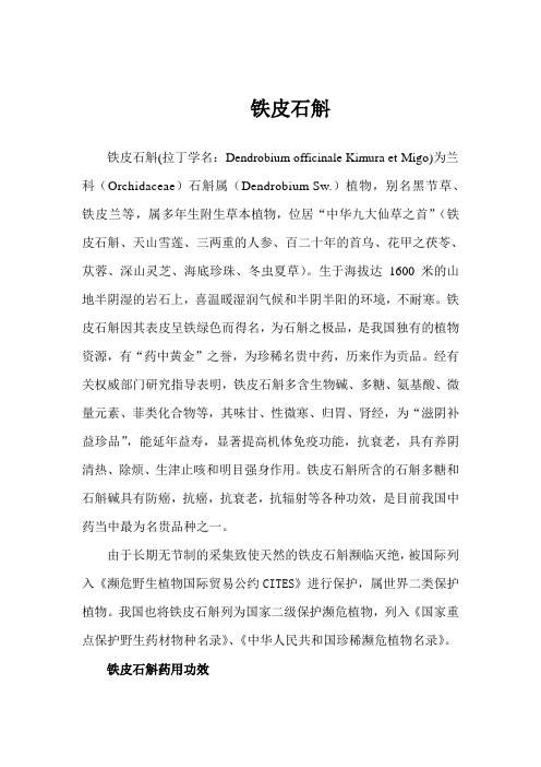 铁皮石斛介绍