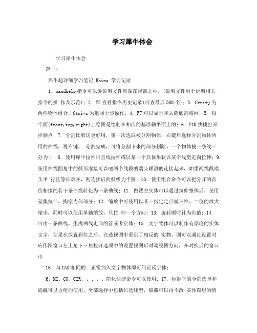 学习犀牛体会