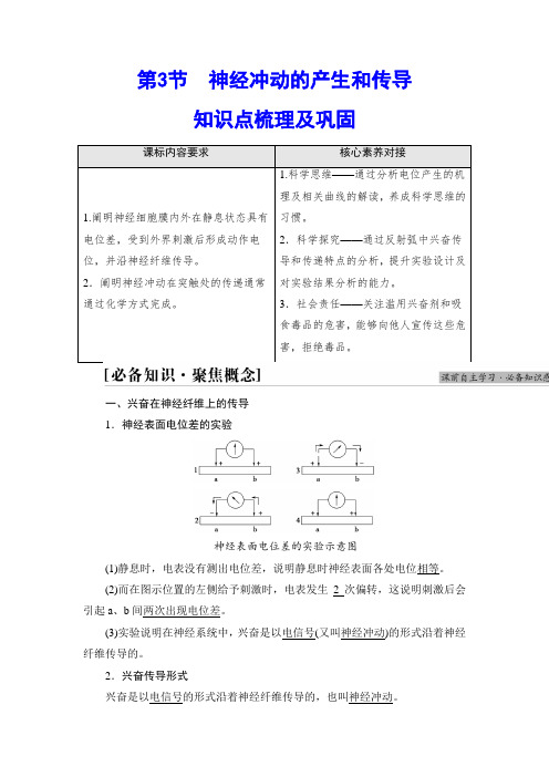 【高中生物】2.3 神经冲动的产生和传导 讲义(知识点 提升 巩固)【新教材】选择性必修一