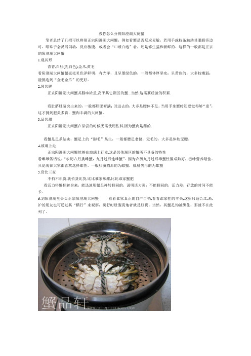 教你怎么分辨阳澄湖大闸蟹