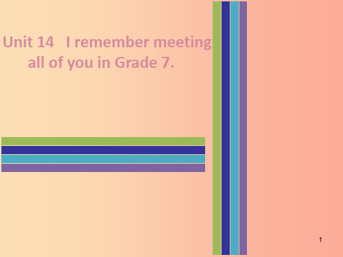九年级英语全册 Unit 14 I remember meeting all of you in G