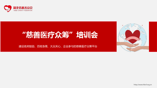 湖北省“慈善医疗众筹”项目培训PPT